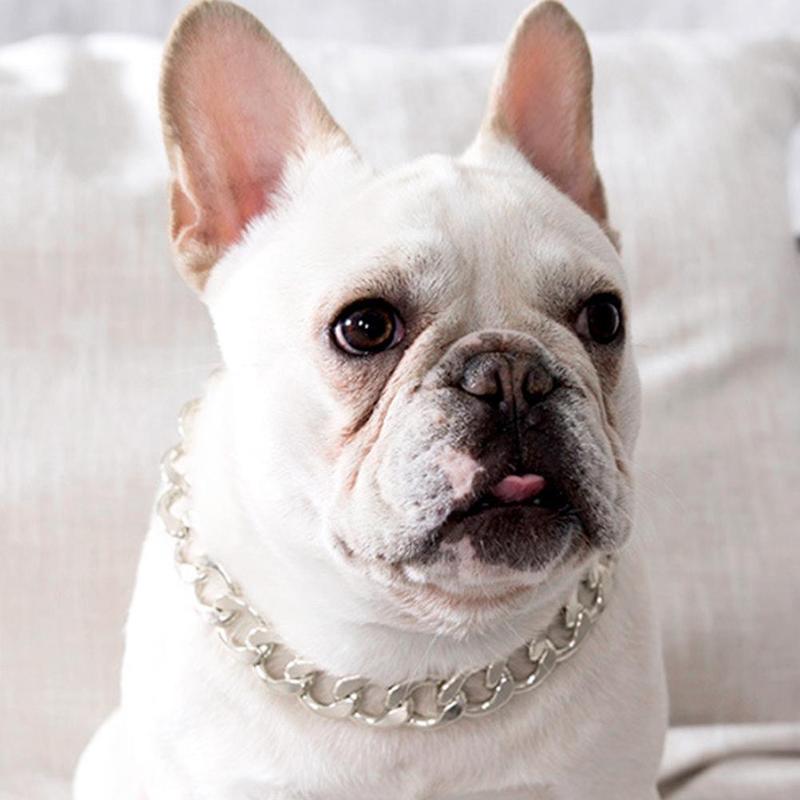 Strong Metal Dog Chain Collars Steel Pet Choke Gold For Large Pitbull Bulldog Collar Collar Dogs Silver Show Trai M8Y8