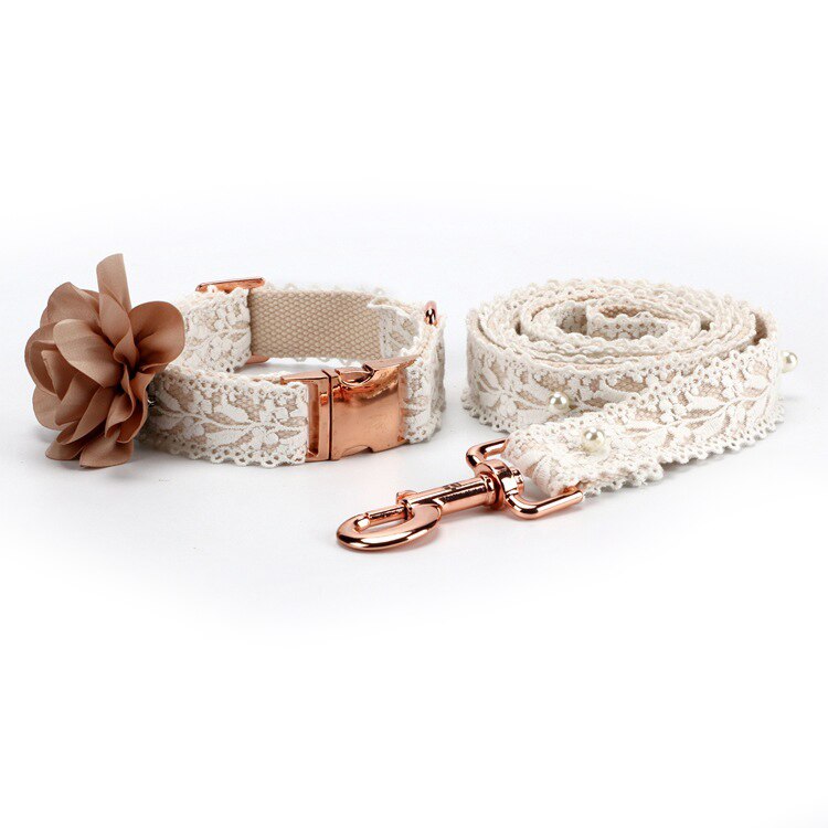 Rose Gold Dog Collar Adjustable for Small Medium Large Dogs Lace Design