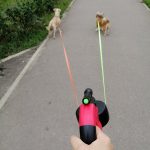 Retractable Dog Leash For  Duble Dogs: Walk Two Dogs Without Tangling photo review
