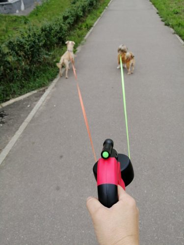Retractable Dog Leash For  Duble Dogs: Walk Two Dogs Without Tangling photo review