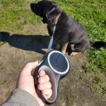 Nylon Leash For Big Dog Walking Retractable: Great For City Walking And Camping Trips photo review