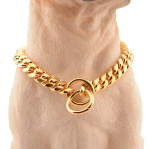 Dog Collar Gold Chain Luxury