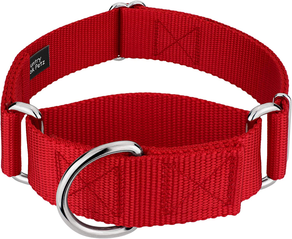 picture of  Martingale Solid Nylon Dog Collar red color