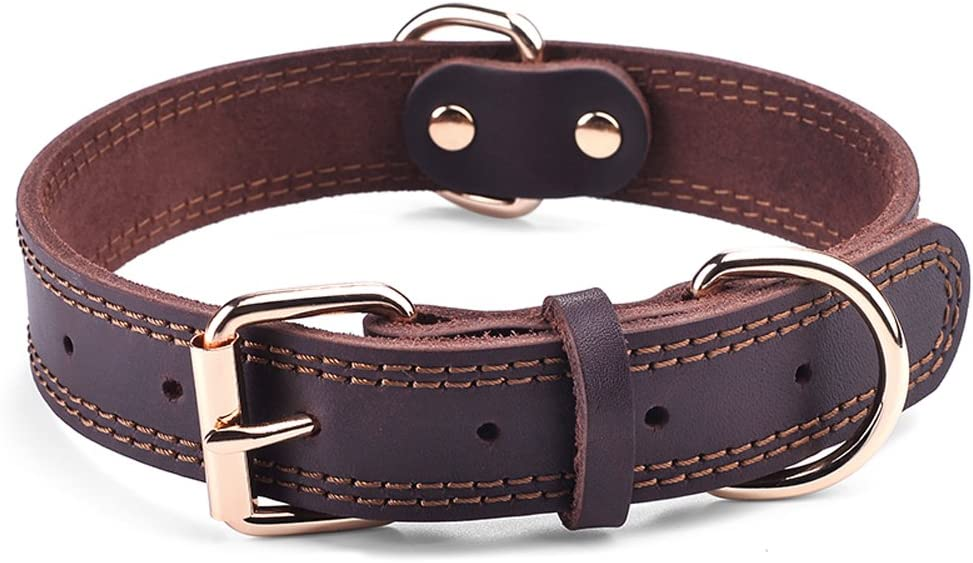 dog leather collar