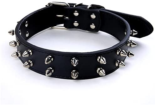picture of Spiked Chain Dog Collar For French Bulldog black color